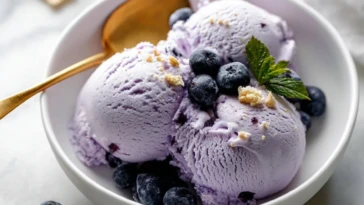 Creamiest Ninja Creami Blueberry Cheesecake Protein Ice Cream Ever